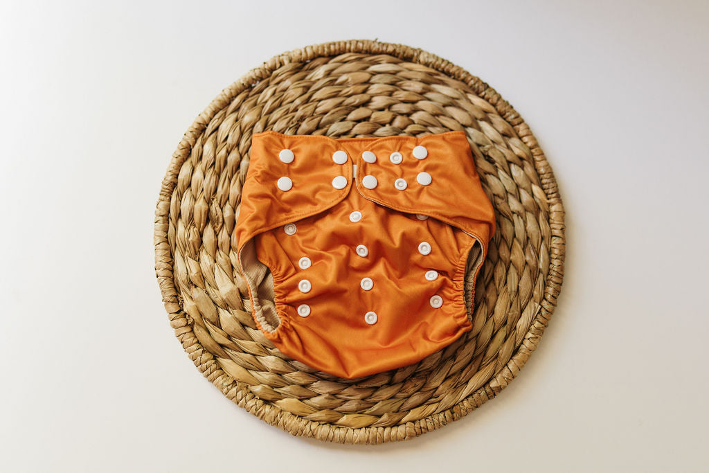 Landon Reusable Cloth Pocket Diaper