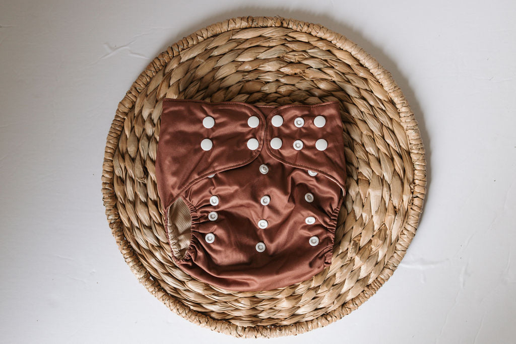 Spice Reusable Cloth Pocket Diaper