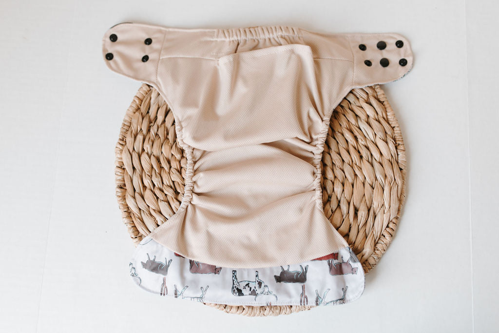 Colt Reusable Cloth Pocket Diaper