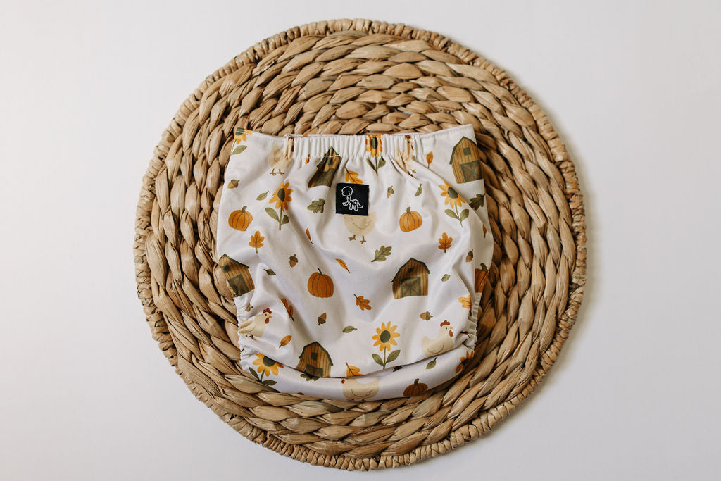 Happy Hollow Reusable Cloth Pocket Diaper