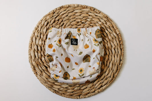 Happy Hollow Reusable Cloth Pocket Diaper