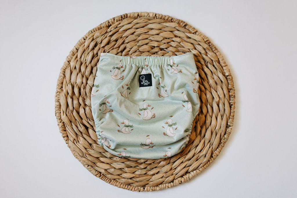 Cozy Gander Reusable Cloth Pocket Diaper