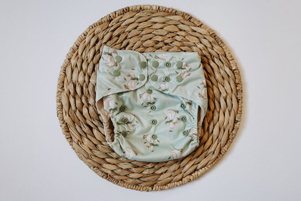 Cozy Gander Reusable Cloth Pocket Diaper