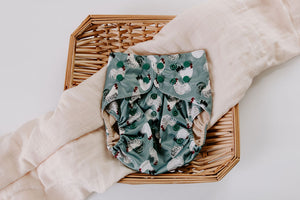 Laken Reusable Cloth Pocket Diaper