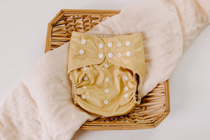 Honey Reusable Cloth Pocket Diaper