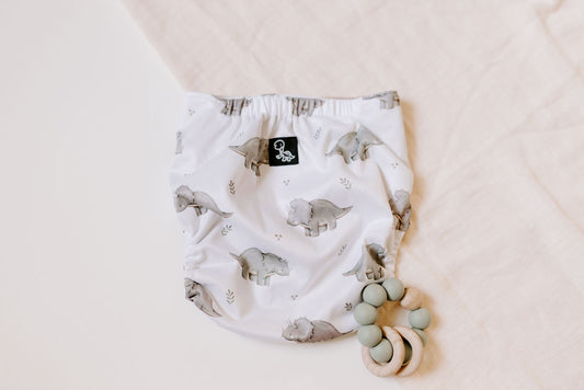 Lou Lou Stomp Reusable Cloth Pocket Diaper