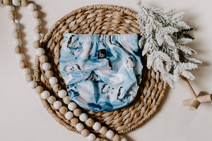 Arctic Reusable Cloth Pocket Diaper